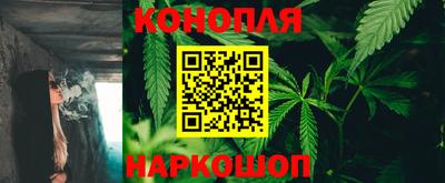 амф Бийск