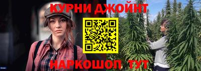 амф Бийск