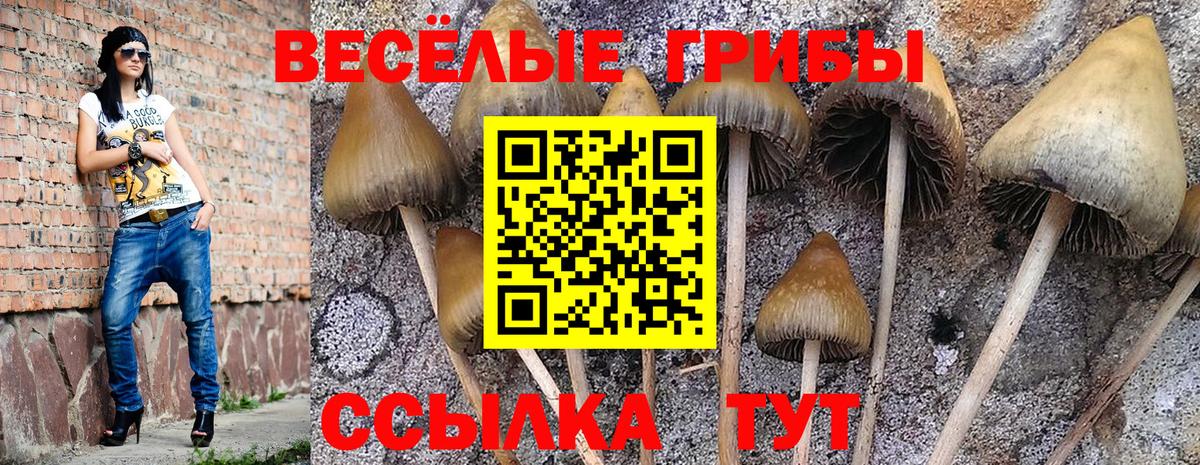 даркнет сайт  Псилоцибиновые грибы Cubensis  Вход с VPN  Верхняя Пышма 